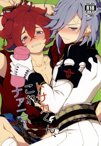 (SPARK10) [plug in (Ingha)] Tosaka-kun Kore Naani? (Bakumatsu Rock) cover