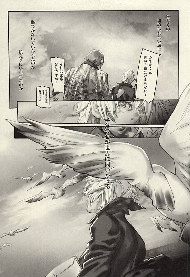 insignis blue page 12 full