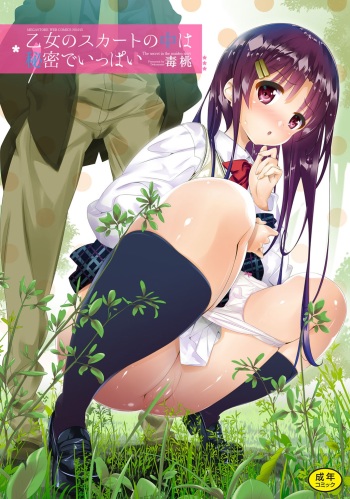 [Dr.momo] Otome no Skirt no naka wa Himitsu de Ippai [Digital] cover