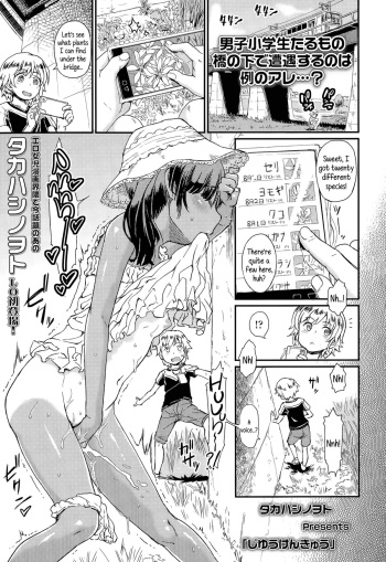 [Takahashi Note] Jiyuukenkyuu | Independent Research (COMIC LO 2015-11) [English] {5 a.m.} cover