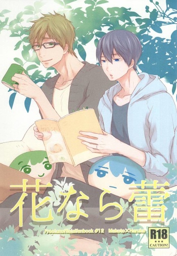 (Splash! 3) [Nympha (Tetsu)] Hana nara tsubomi (Free!) cover