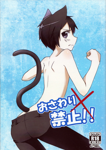 (C88) [Cari★ui (Akatsuki Tokito)] Osawari Kinshi!! (Sword Art Online) cover
