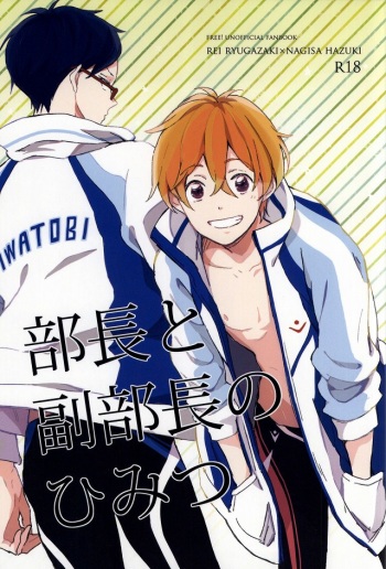 (C87) [skyfish (Hisato)] Buchou to fukubuchou no himitsu (Free!) cover