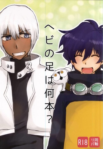 (Ikai Toshi no Arukikata WEST) [ZENPOCOENFUN (POCO)] Hebi no Ashi wa Nanbon? (Kekkai Sensen) cover
