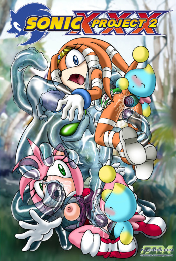 [Palcomix] Sonic Project XXX 2 (FR) cover