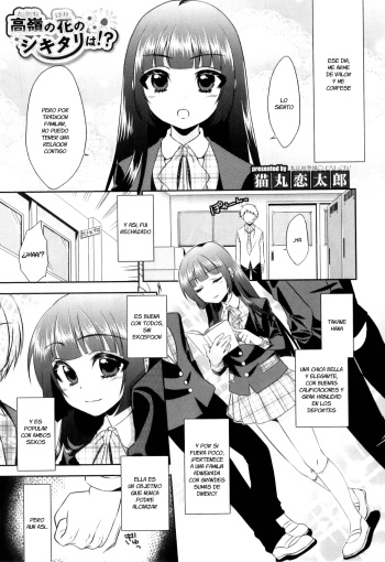 [Neko Maru Rentarou] Takane no Hana no Shikitari wa!? (Otokonoko Heaven Vol. 08) [Spanish] [Fanboo] cover