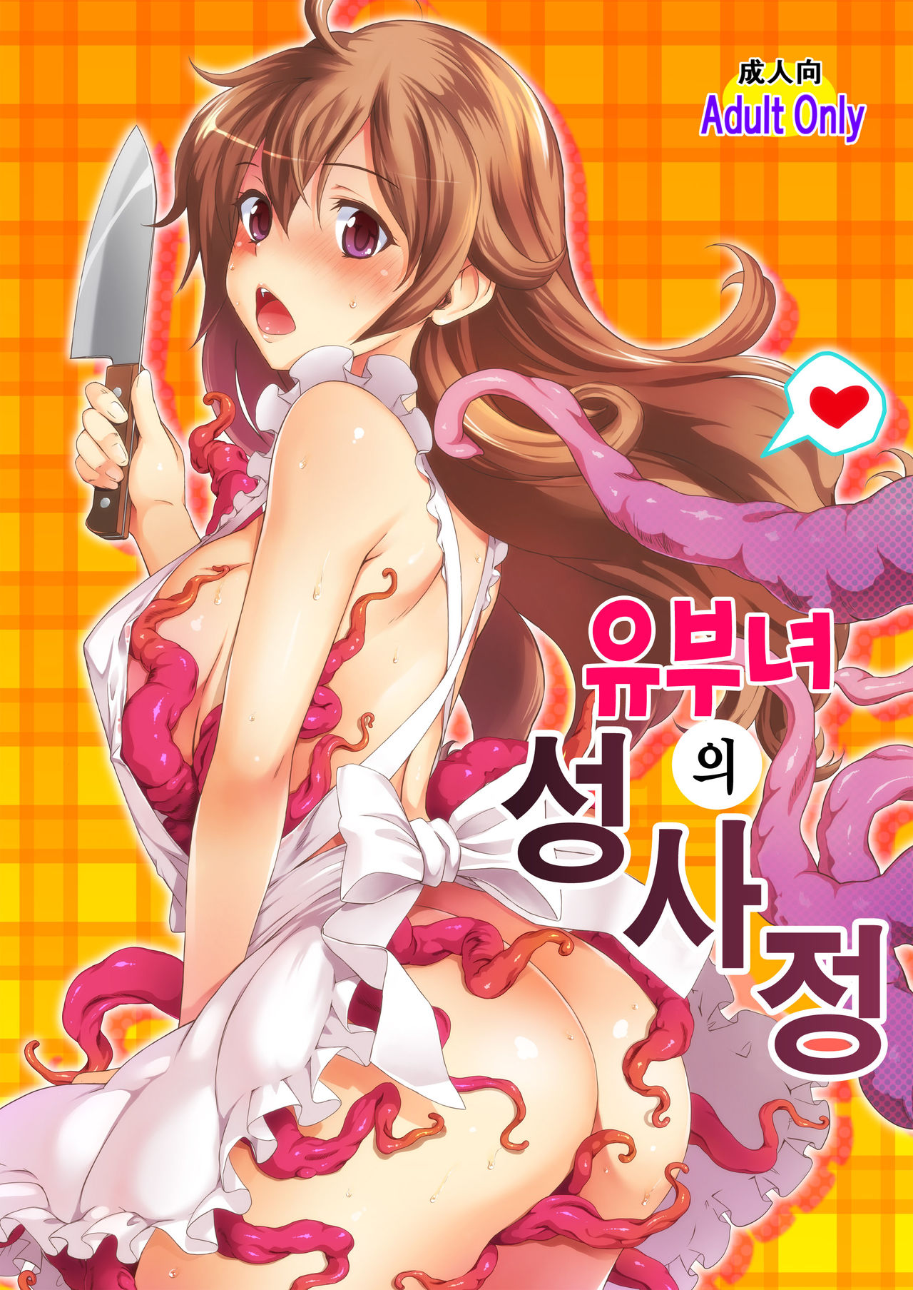 Aru Hitozuma no Seijijou | 유부녀의 성사정 page 1 full