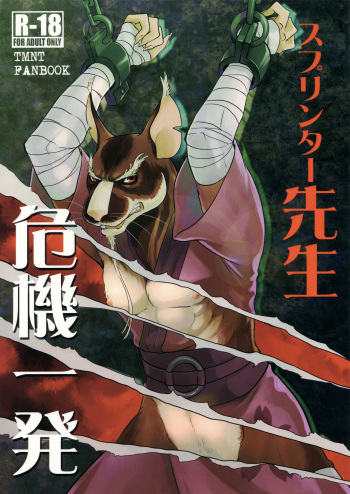 (Fur-st 8) [INK (Kreuz, Kandagawa Gufu)] Splinter-sensei Kiki-ippatsu (Teenage Mutant Ninja Turtles) cover