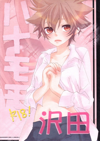 (Zenkoku R1) [Statice (Yurihara Aki)] Hana Momo -Sawada- (Katekyo Hitman REBORN!) [English] [biribiri] cover