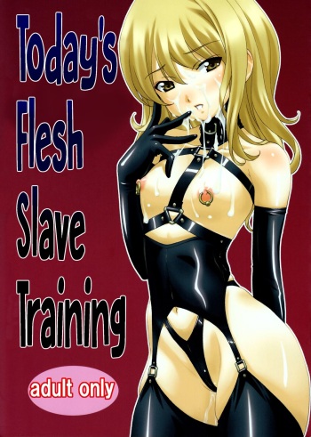 (C88) [Tairikukan Dandoudan Dan (Sakura Romako)]  Honjitsu no Nikudorei Choukyou | Today's Flesh Slave Training [English] [cdragon] cover