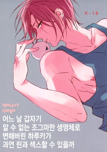 (SUPER24) [321 (Mitsui)] Can Haruka Have Sex with Rin After Suddenly Turning Into an Odd Little Lifeform? | 어느 날 갑자기 알 수 없는 조그마한 생명체로 변해버린 하루카가 과연 린과 섹스할 수 있을까 (Free!) [Korean] [니나ㅜ] cover