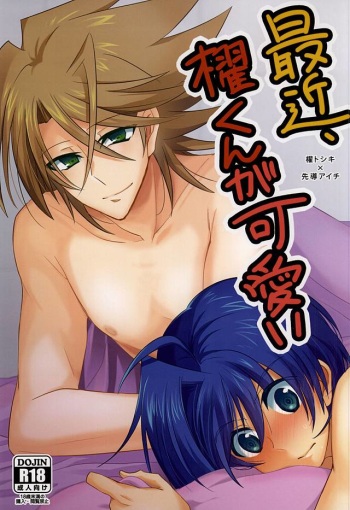 (Stand Up! 16) [Gum Tape Type (Nauchi)] Saikin, Kai-kun ga Kawaii (Cardfight!! Vanguard) cover