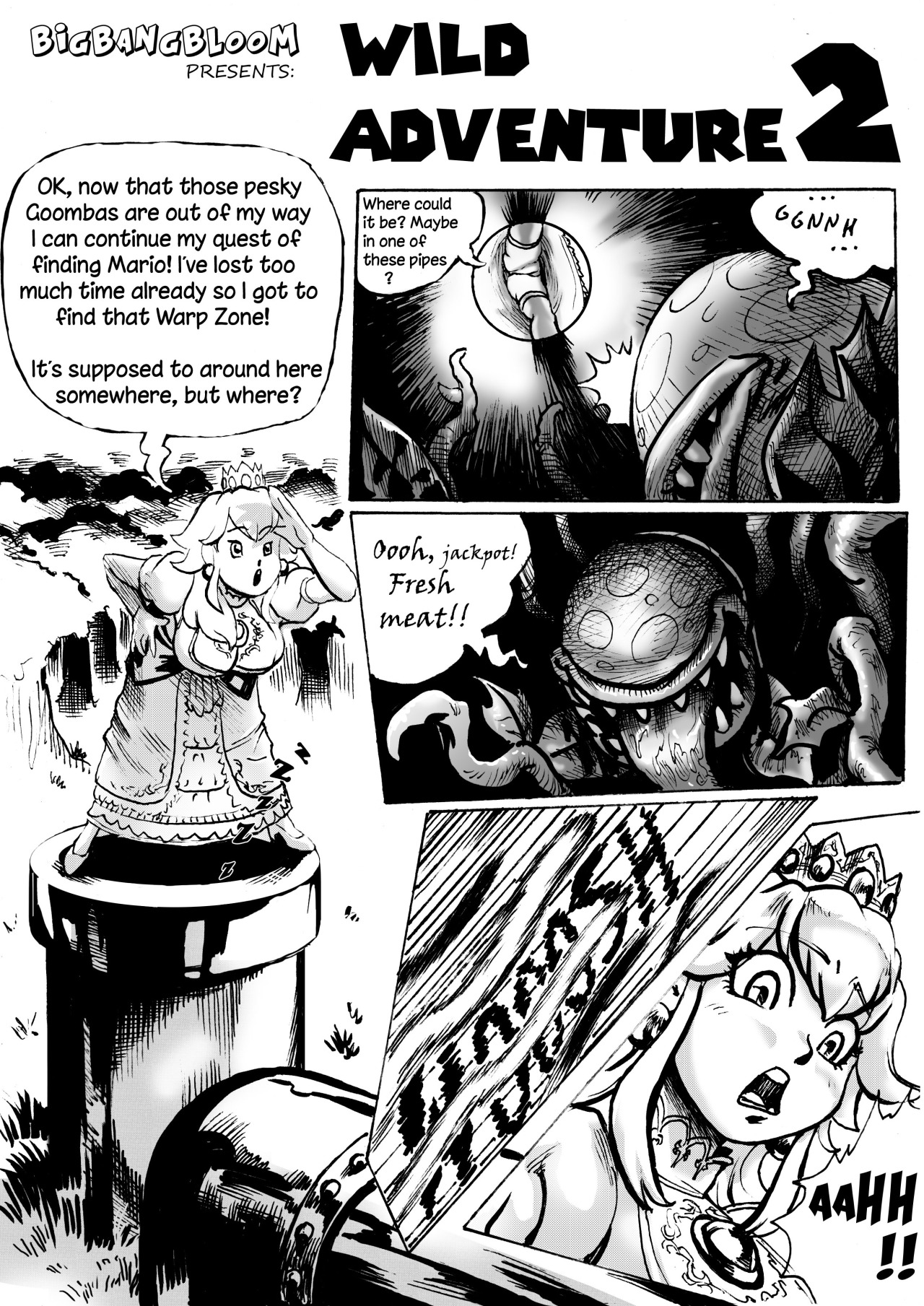 Princess Peach- Wild Adventure 2 page 2 full