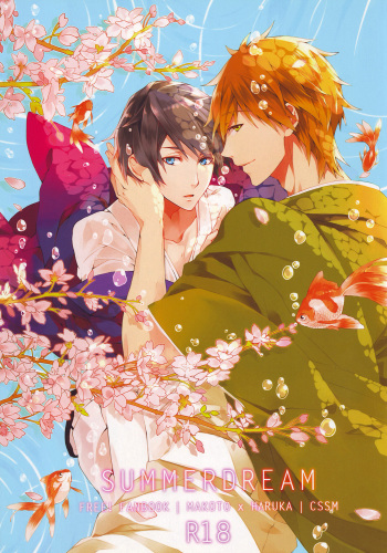 (C85) [CSSM (aha, E)] SUMMER DREAM (Free!) cover