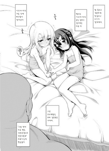 [Namonashi] Puriya Zwei Her s Sono 2 (Fate/kaleid liner Prisma Illya) [Korean] [팀 아동복지부] cover