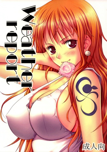 (C82) [Mikenekodou (Muten)] Weather report (One Piece) [German] [SchmidtSST] cover