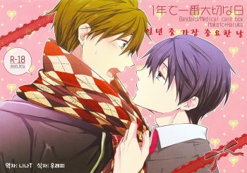 (Renai Jiyuugata! Osaka Taikai 2) [Kyuukyuubako (Band Aid)] Ichinen de Ichiban Taisetsuna hi (Free!) [Korean] [니나ㅜ] cover