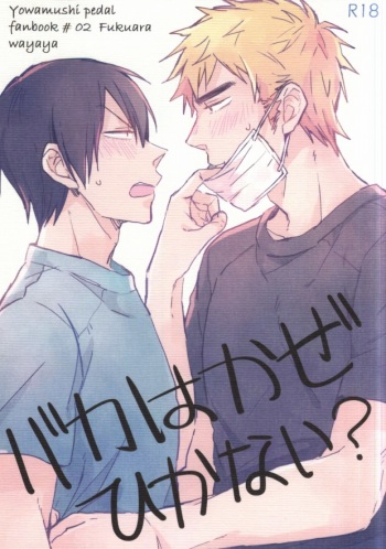 (C87) [Wayaya (Waya)] Baka wa Kaze Hikanai? (Yowamushi Pedal) cover