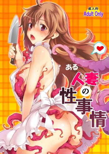 [MS Confidential] Aru Hitozuma no Seijijou [Digital] cover