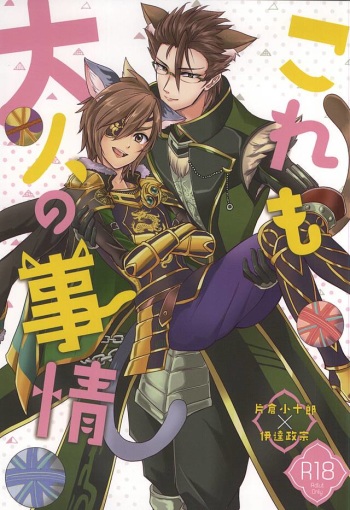 (Kyoukoukingen Juukurin) [Tomaremiyo (Sakazuki)] Kore mo Otona no Jijou (Samurai Warriors) cover