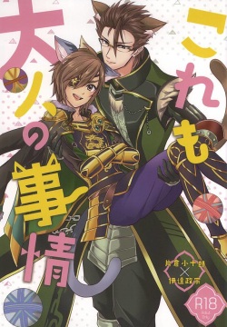 Kore mo Otona no Jijou