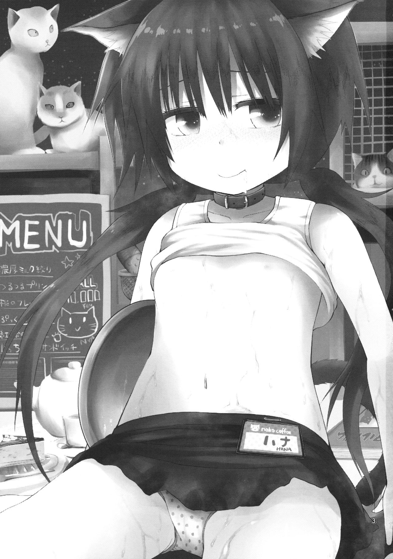 Higouhou JS Cafe page 3 full