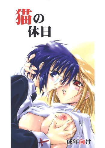 (SC20) [Shimoyakedou (Ouma Tokiichi)] Neko no Kyuujitsu (Tsukihime) [Spanish] {ElMoeDela8} cover
