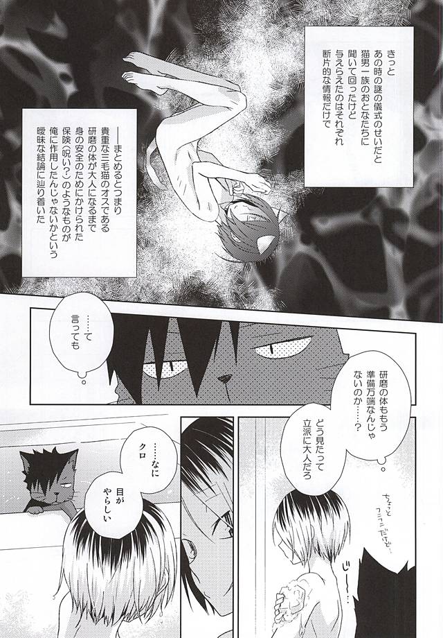 Neko Otoko Ichizoku no Koubi Report page 6 full