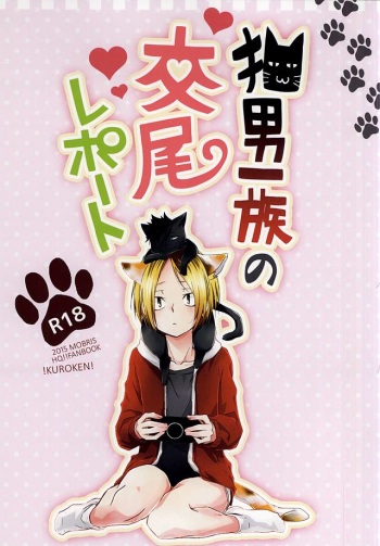 (RTS!!5) [MOBRIS (Tomoharu)] Neko Otoko Ichizoku no Koubi Report (Haikyuu!!) cover