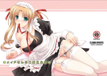 (C70) [SIDE EFFECTS (Saeki Hokuto)] Maid-san no Gohoushi Nikki cover