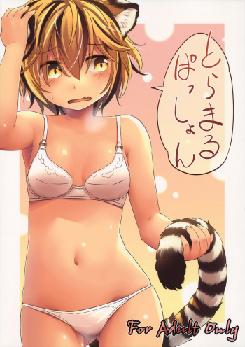 (Kouroumu 11) [Animal Passion (Yude Pea)] Toramaru Passion (Touhou Project) [Korean] [팀 아동복지부] cover
