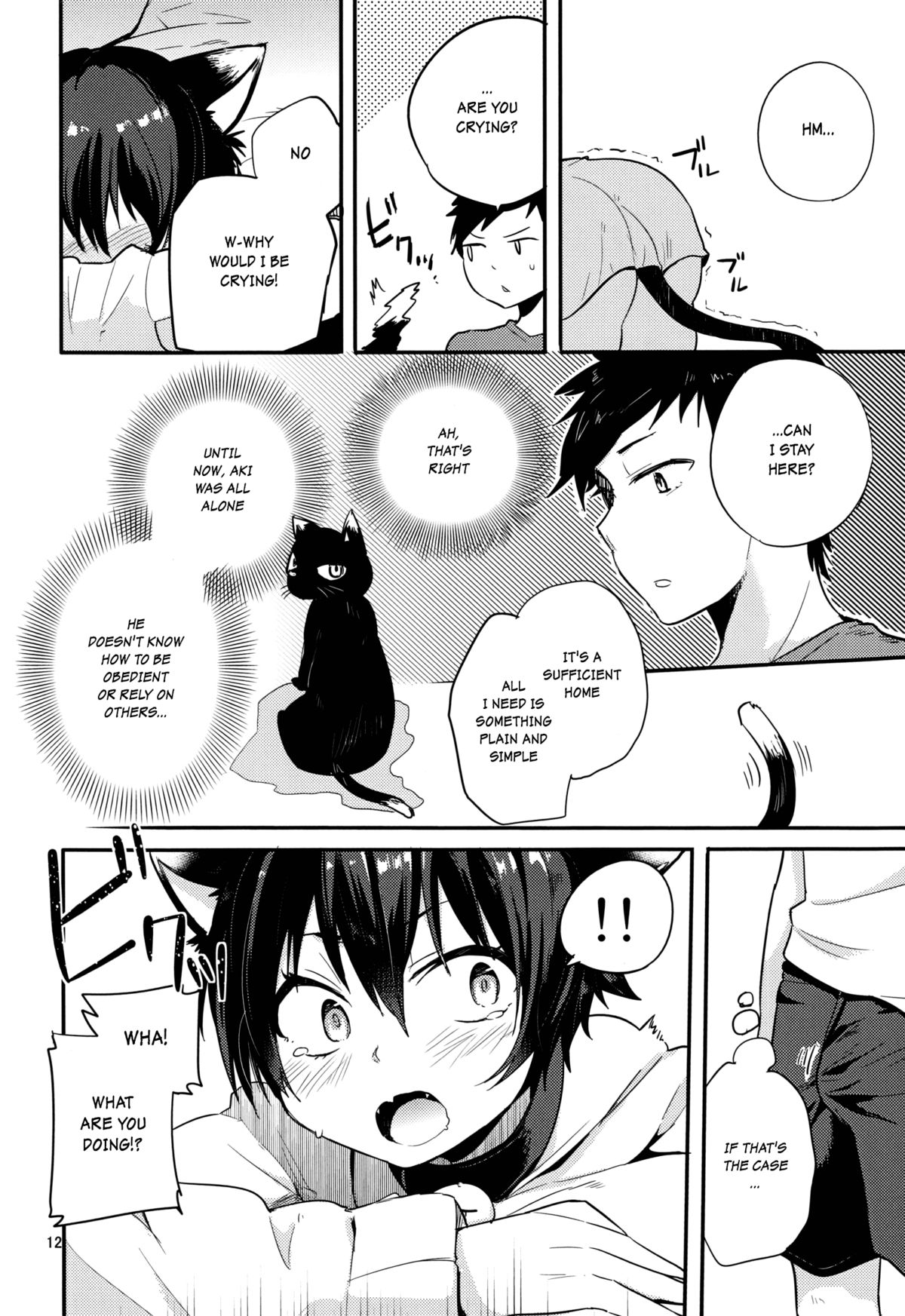 Nora Neko to Hakuchuumu page 11 full