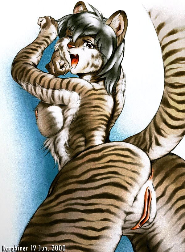 Artist - Karabiner page 12 full