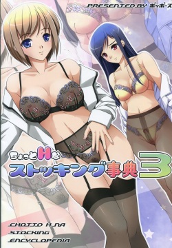 Chotto H na Stocking Jiten 3