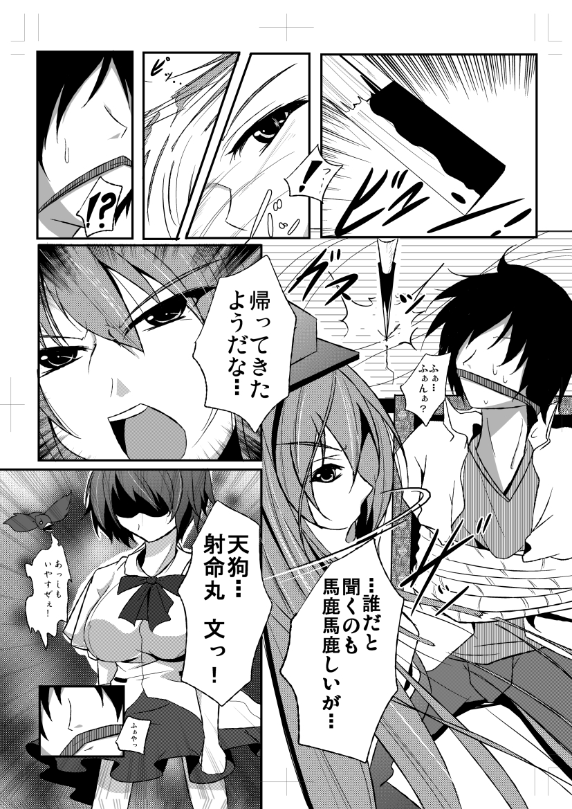 Shameimaru Aya to Keine no Aisai Ryouri Taiketsu! page 11 full