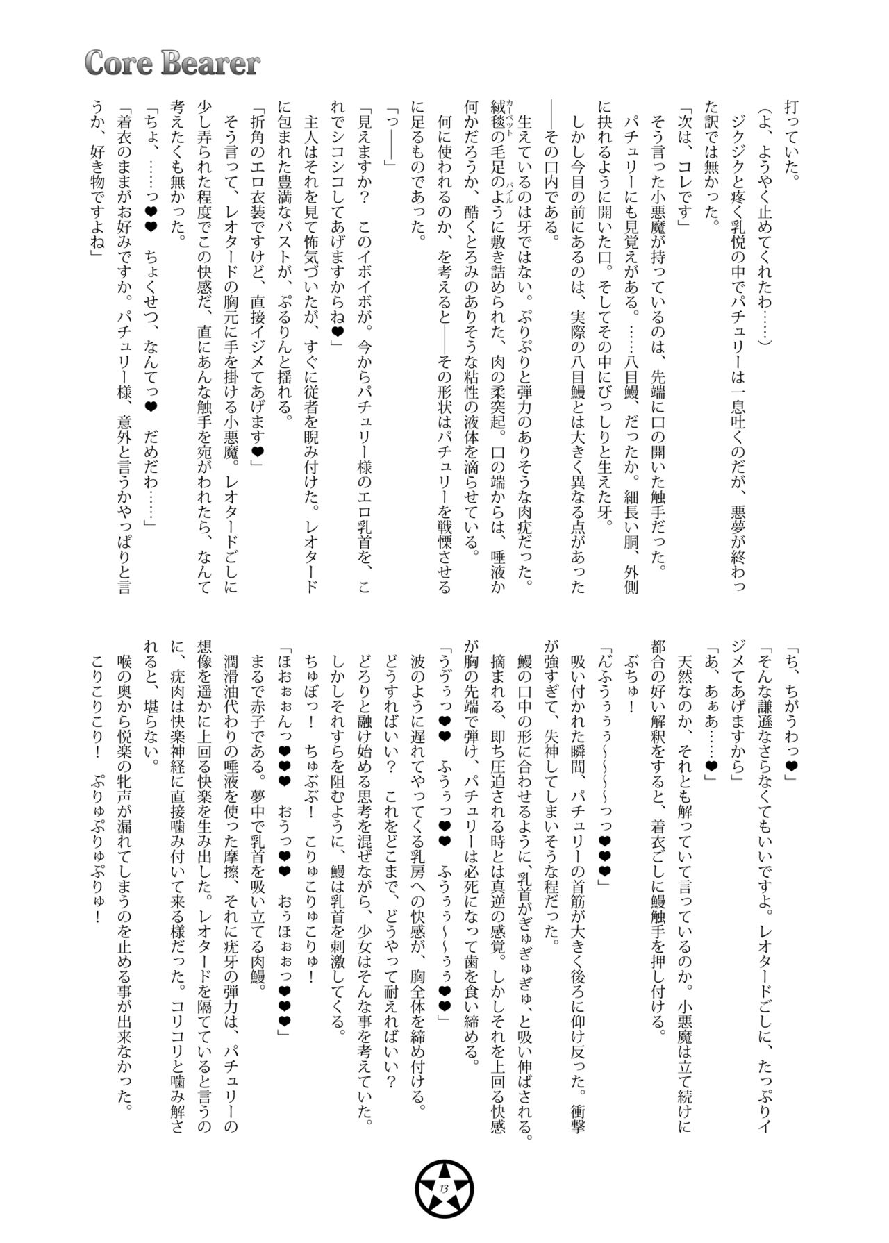 Core Bearer page 12 full