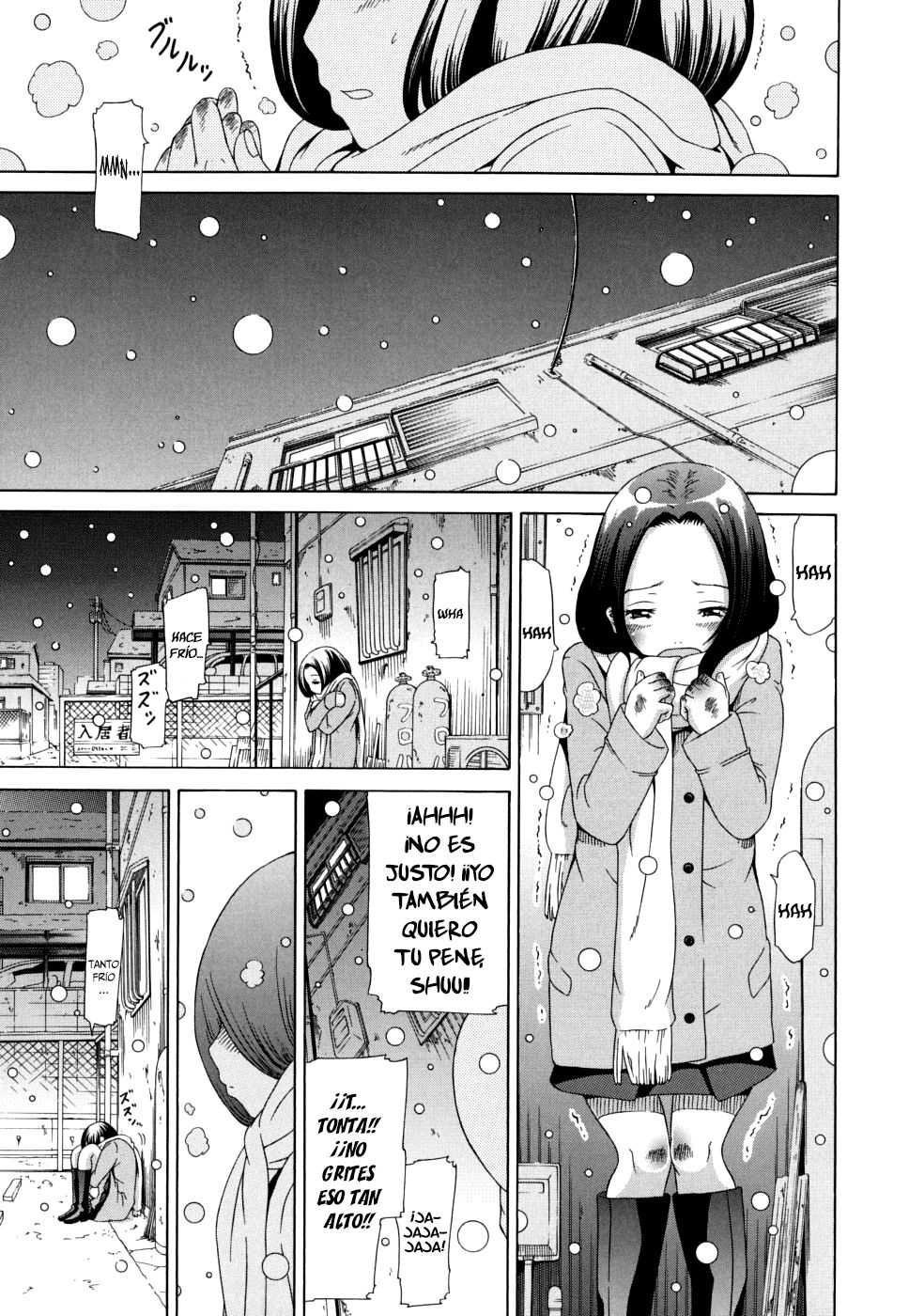 Ryuusei Gemini | Estrella Fugaz Géminis page 12 full