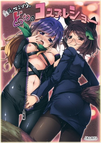 (C88) [Avalanche (ChimaQ)] Byakuren to Mamizou no Docchi no Cosplay Show (Touhou Project) cover