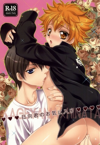 (C87) [Lovesugi (Fukai Maro)] Hinata-kun no Okiniiri (Haikyuu!!) cover