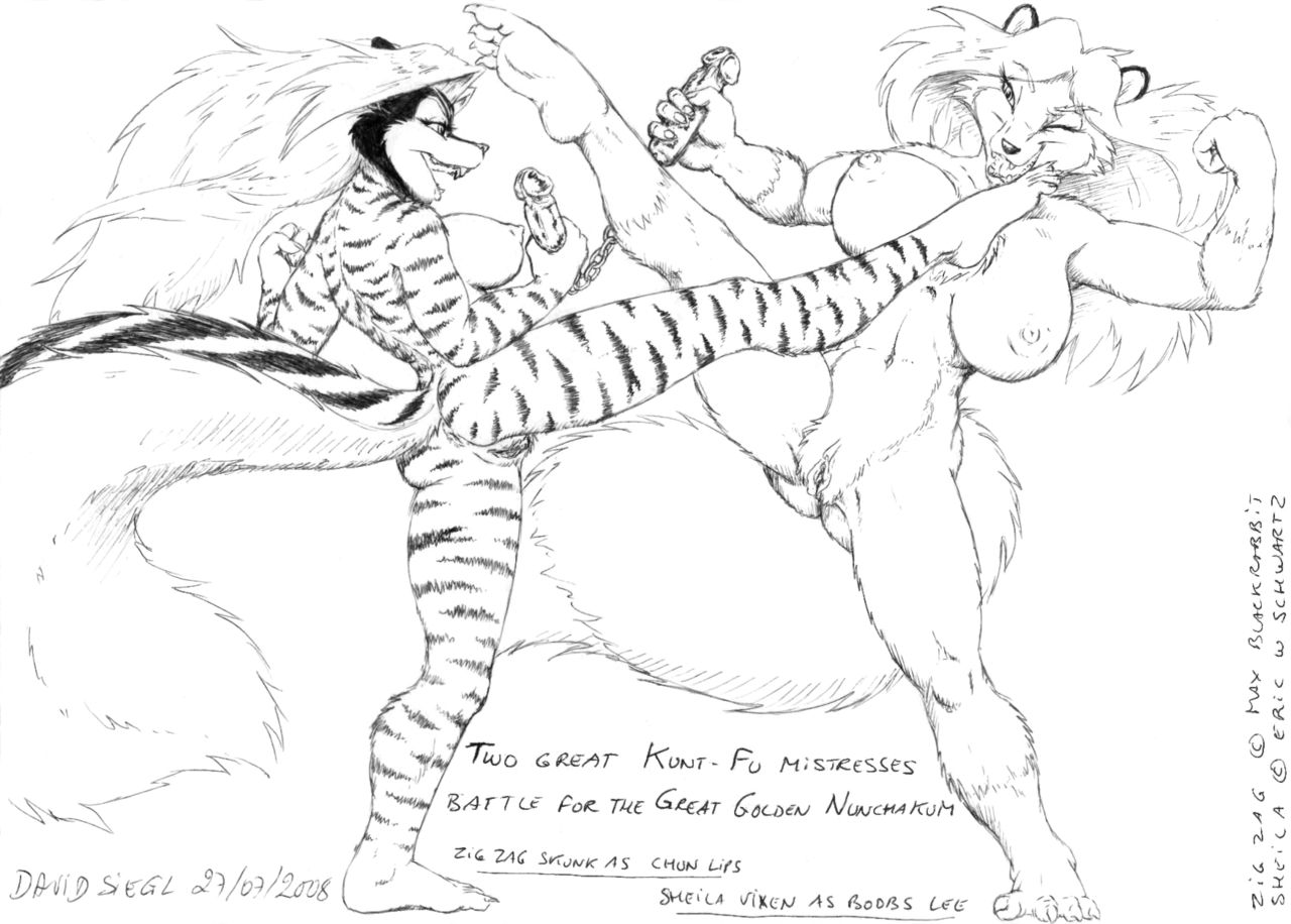 David Siegl_ page 12 full