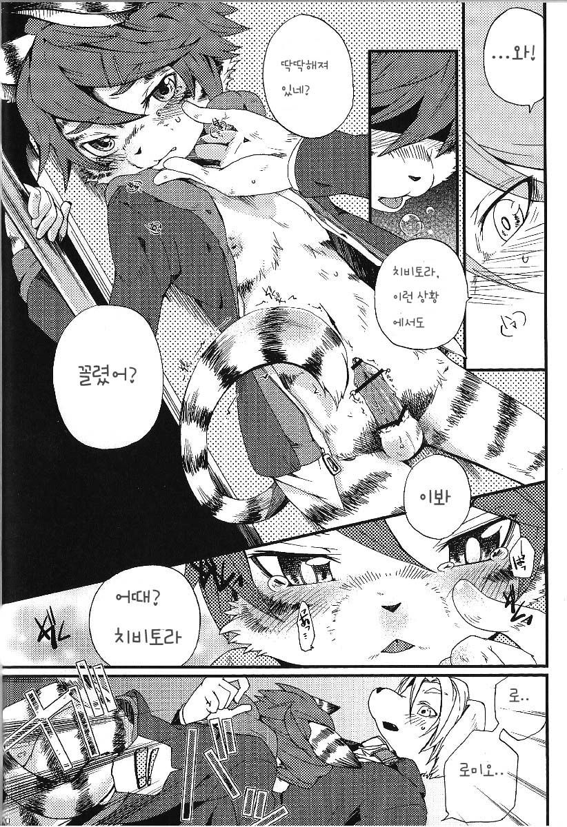 Train Train 1 page 11 full