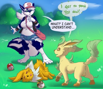[aggro_badger] Pokemon Training (Pokemon) cover
