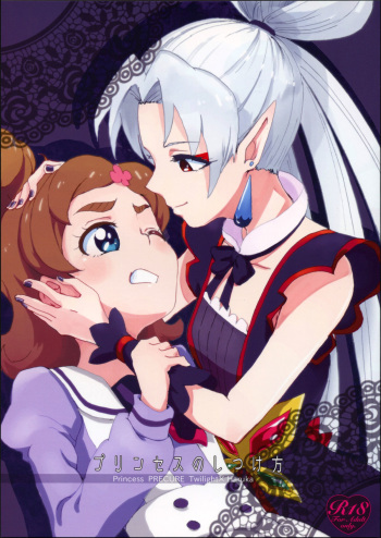 (Rainbow Flavor 13) [Yukirinrin! (Oyu)] Princess no Shitsukekata | Princess Training (Go! Princess PreCure) [English] [Goggled Anon] cover
