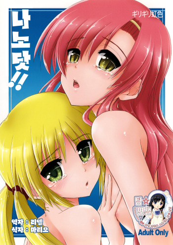 (C74) [GiriGiri Nijiiro (Kamino Ryu-ya)] Nanoda!! | 나노닷!! (Hayate no Gotoku!) [Korean] [팀 면갤] cover