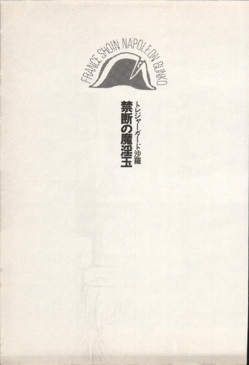 Treasure Hunter Sara - Kindan no Maingyoku page 8 full