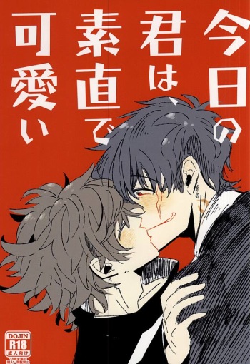 (Ikai Toshi no Arukikata) [LUCA (Esuko)] Kyou no Kimi wa, Sunao de Kawaii (Kekkai Sensen) cover