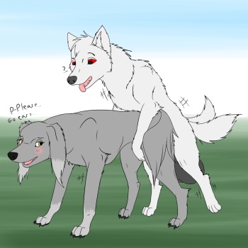 [WolfForHire] Not So Shy cover