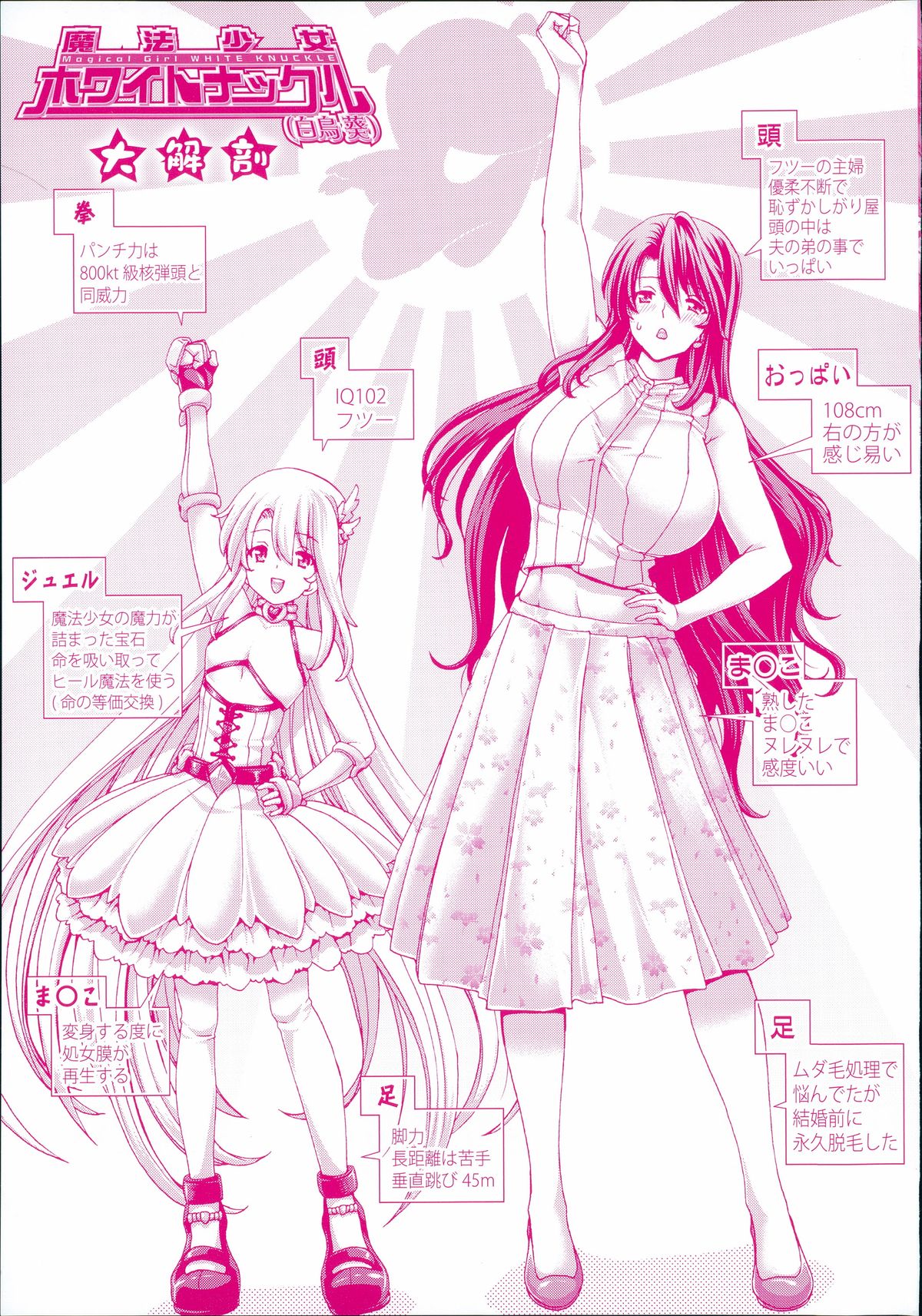 Mesuochi Z ~Kyousei Ninkatsu Haigou Zukan~ page 3 full