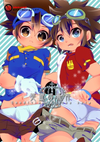 [AIDOU (Kimidori Arisa)] Eiyuu no Jouken - Condition of the Hero (Digimon Xros Wars) [Digital] cover