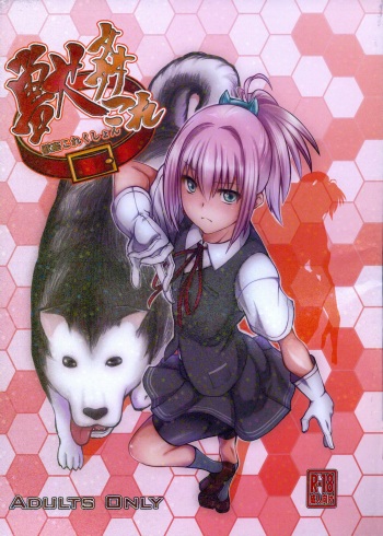 (SC61) [Zensoku Rider (Tenzen Miyabi)] Juukan Collection (Kantai Collection -KanColle-) [English] cover